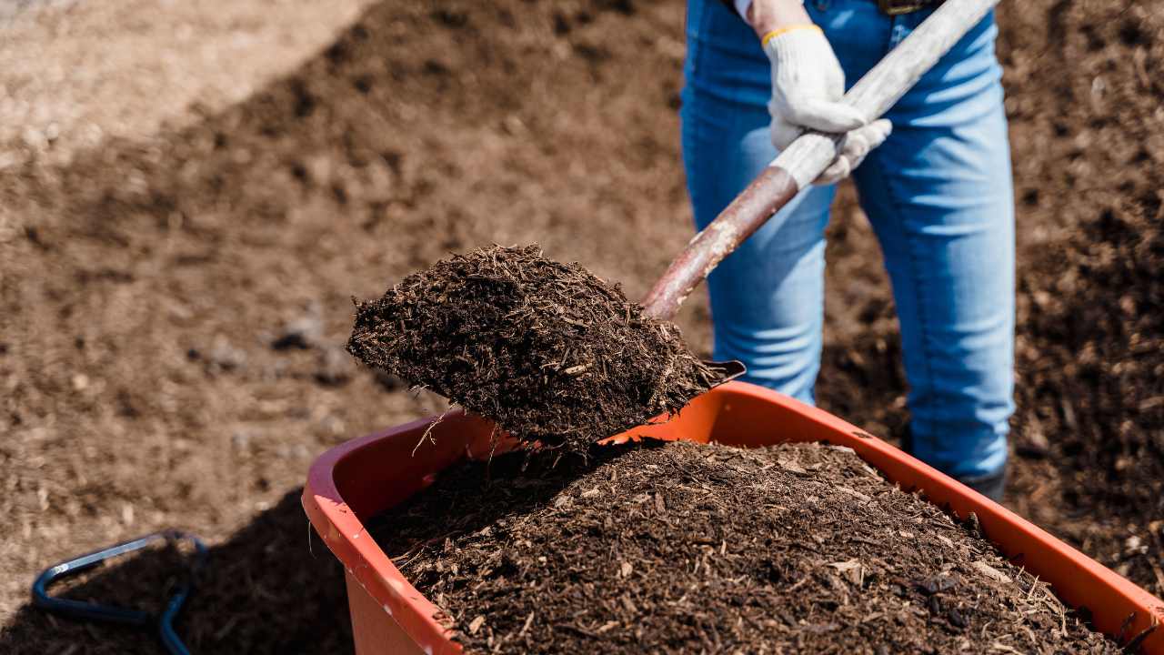 Composting