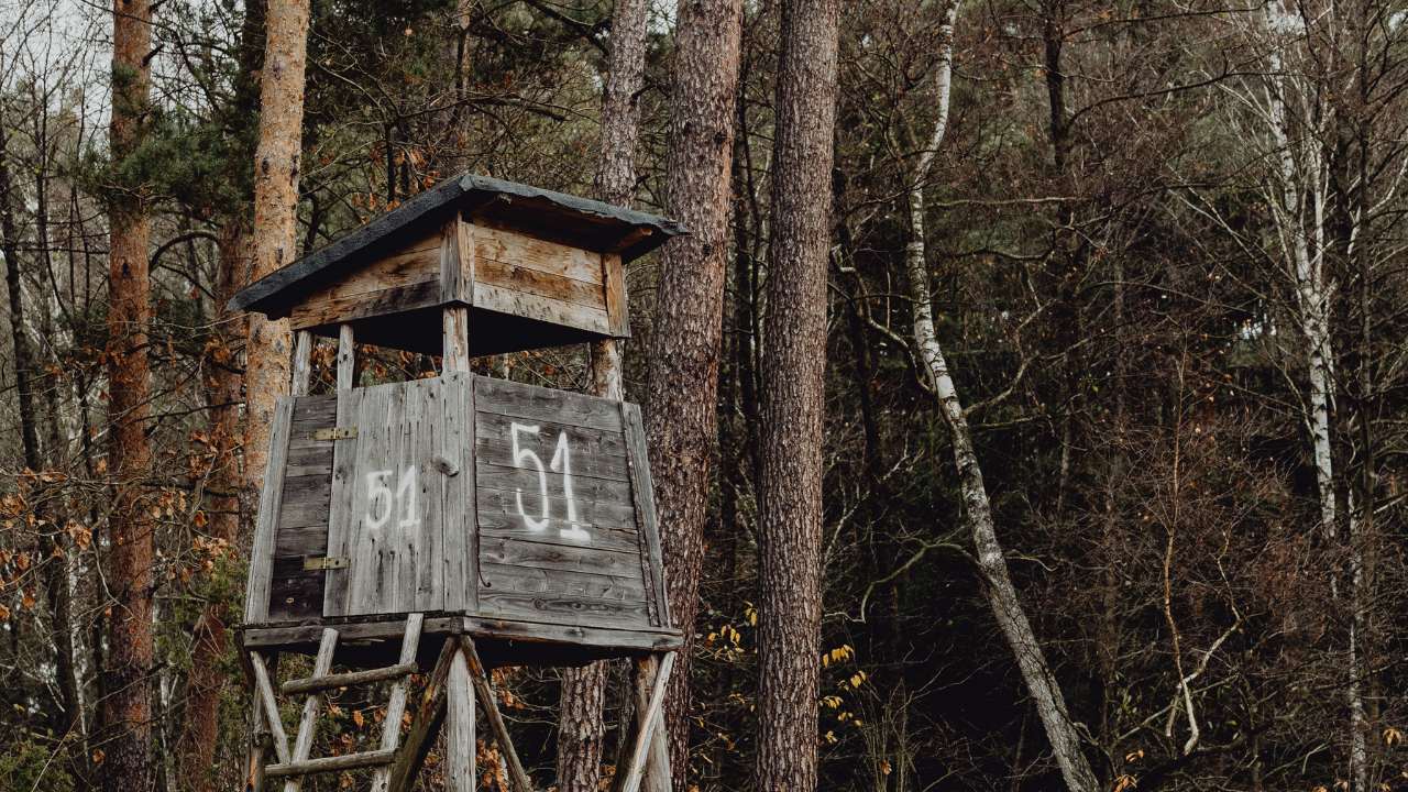 Tree blind