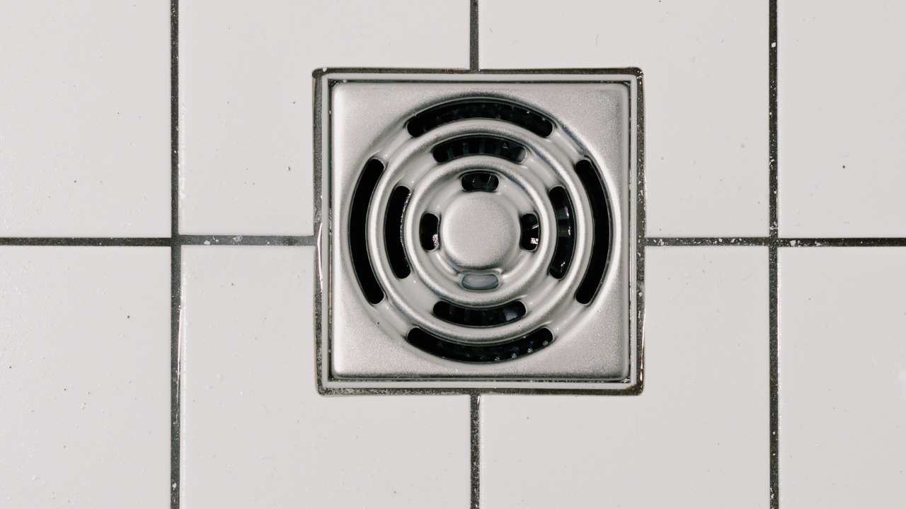 Shower Drain