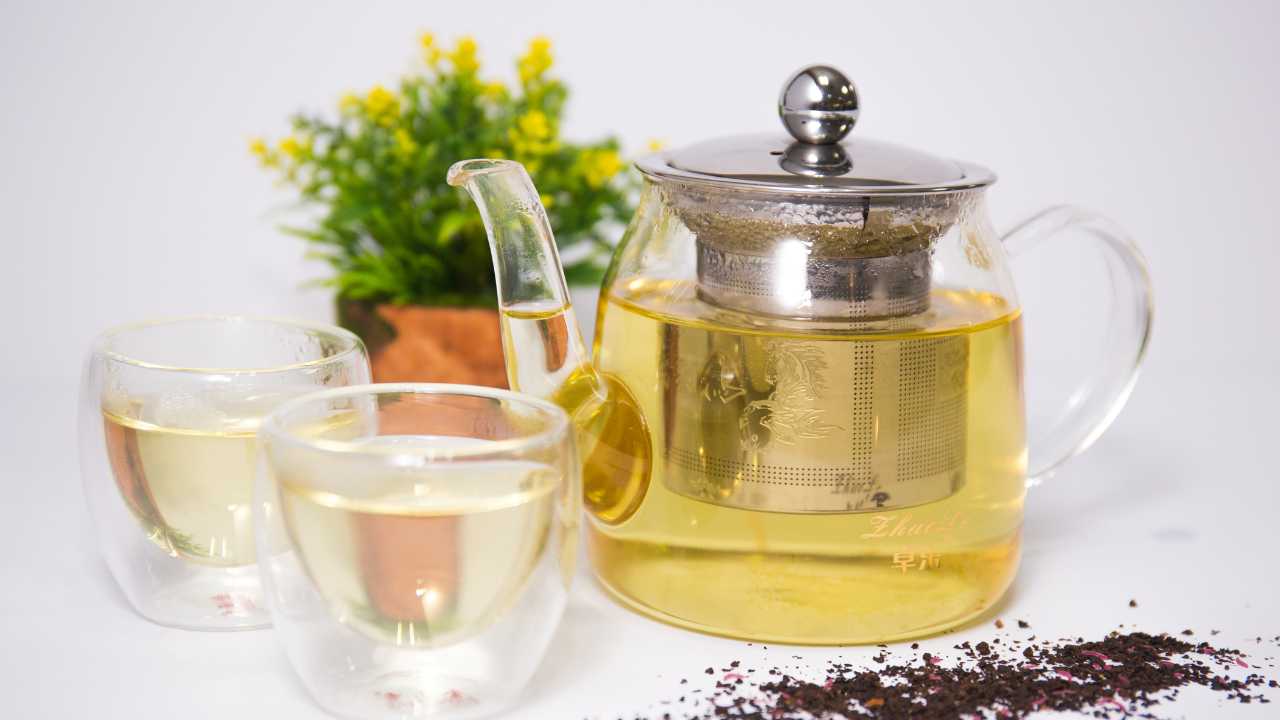 Does Green Tea Help ADHD: Lets Uncover The Hidden Benefits