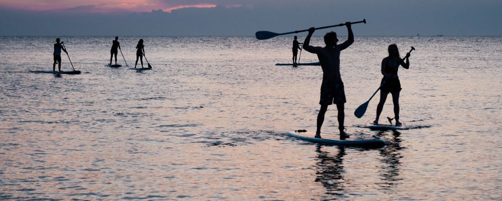 Paddle board