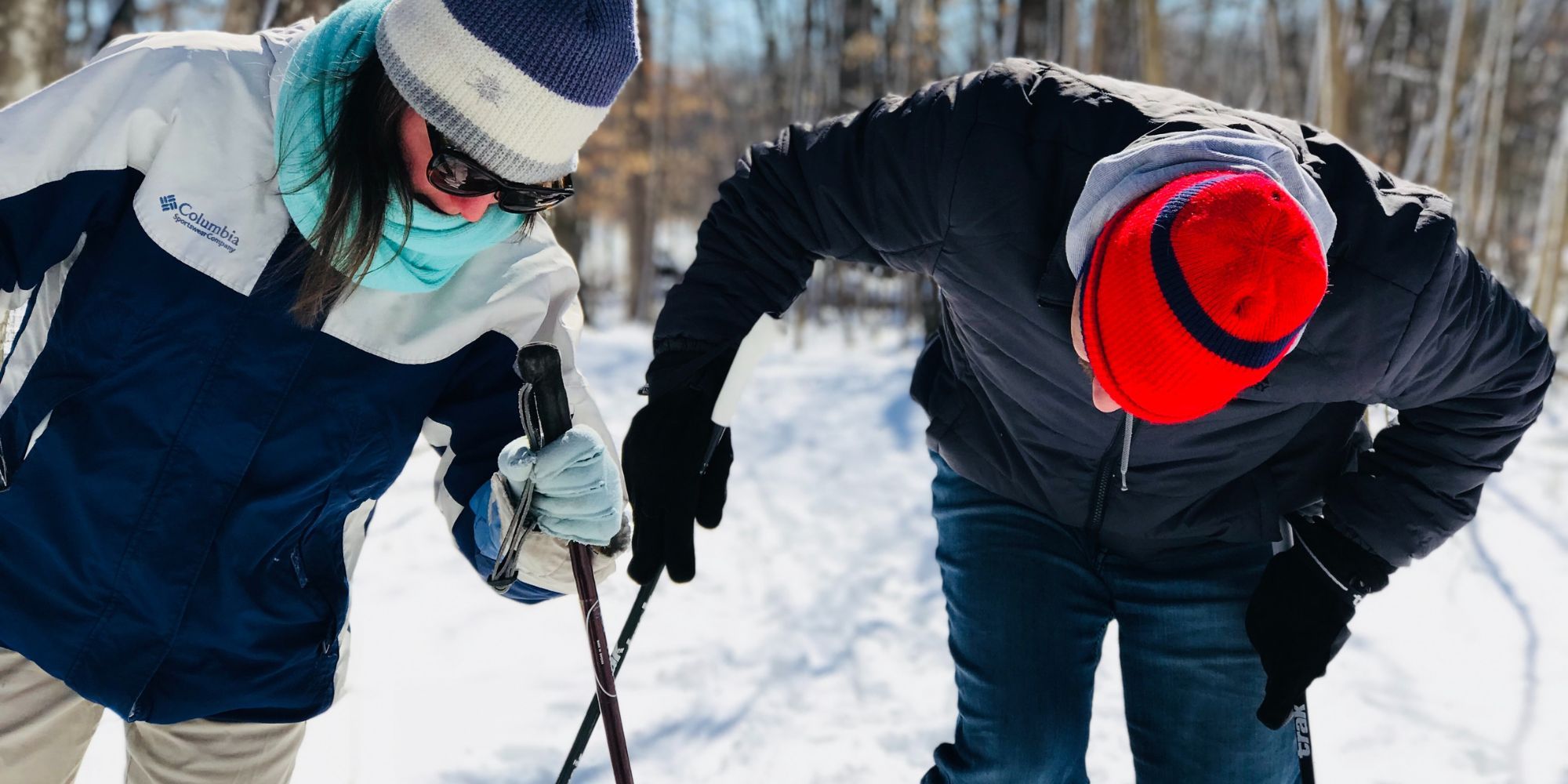 Ski poles