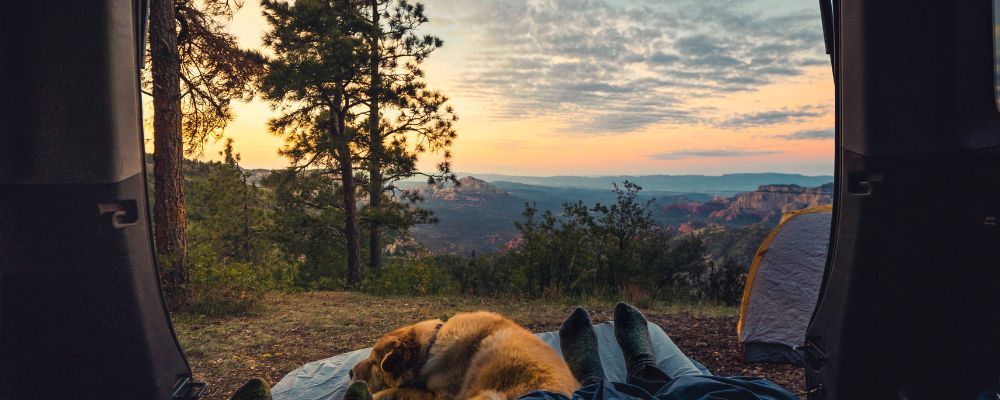 Car Camping Sleeping Pads for a Comfortable Sleep Under the Stars