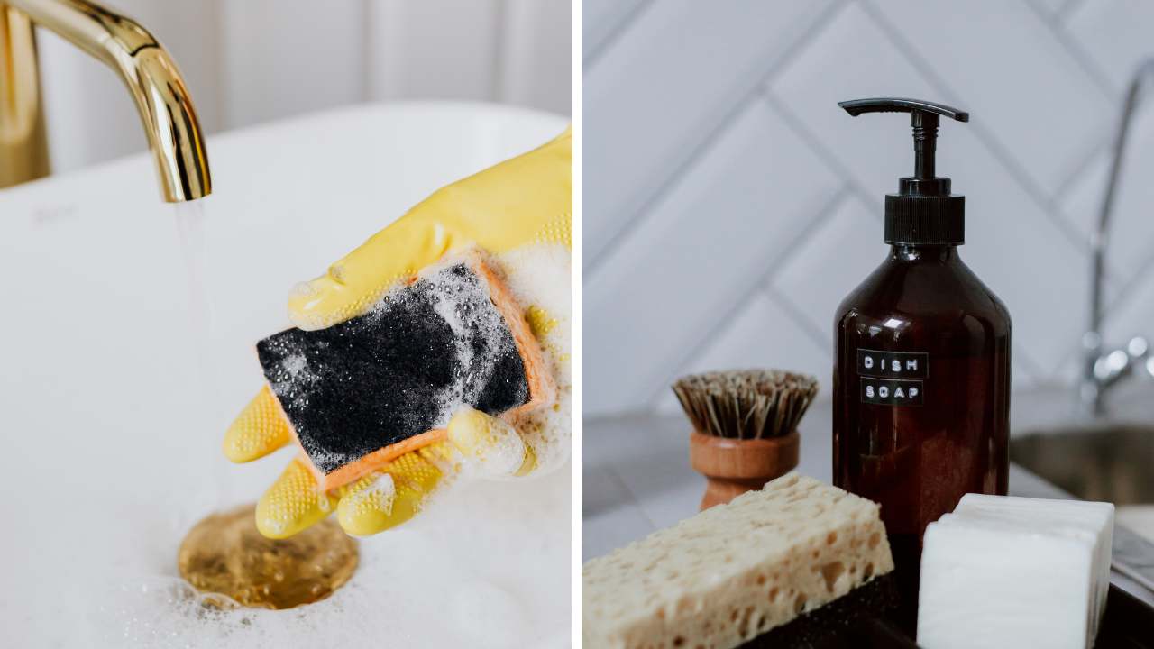 Dish Sponge