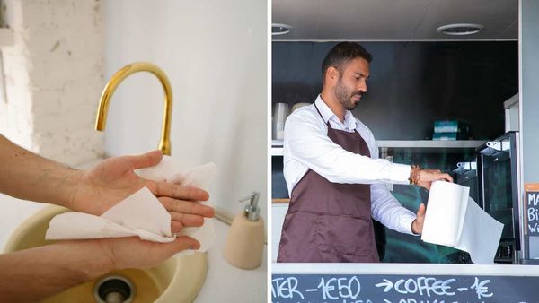 Everything You Need To Know About Paper Towels Get The Facts